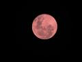 Luna de fresa
