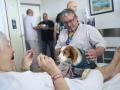 Paciente acaricia a un perro durante su ingreso hospitalario