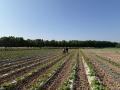 Los agroasesores son una pieza clave en la agricultura madrileña