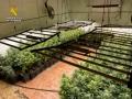 Plantación incautada en la 'Operación Liquema' en Lillo

REMITIDA / HANDOUT por GUARDIA CIVIL
Fotografía remitida a medios de comunicación exclusivamente para ilustrar la noticia a la que hace referencia la imagen, y citando la procedencia de la imagen en la firma
16/6/2025