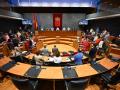 Pleno del Parlamento de Navarra