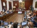 Pleno ordinario mes de junio