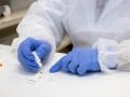Una manos de sanitario con guantes de nitrilo realizan un test