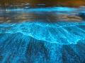 Playa con bioluminiscencia.