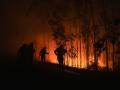 Varios bomberos trabajan para extinguir el fuego en Galicia