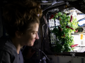 Una astronauta observa un cultivo en microgravedad