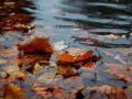 Lluvia en Otoño