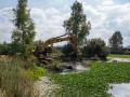 Retirada del nenúfar con maquinaria.