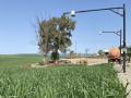 Cámara ubicadas en la explotación agrícola