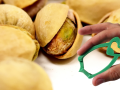 Abridor de pistachos Maná