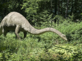 Ilustración de un diplodocus