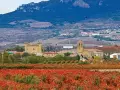 La villa asoma entre los viñedos de La Rioja Alta
