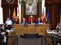 Pleno del Ayuntamiento de Elche