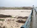 Imagen del río Guadalquivir a su paso por Lora del Río (Sevilla) tras las últimas lluvias dejadas por la borrasca Joseph