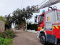 Bomberos de la Diputación cortan un árbol tumbado por la borrasca