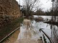 Crecida del rio Duero a su paso por Soria