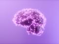 Cerebro humano 3D con puntos de conexión