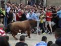 Toro Enmaromado de Benavente