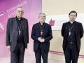 Los obispos españoles celebran la próxima visita del papa León XIV