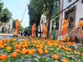 La recogida de naranja en Córdoba llega a su final.