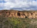 Inusual imagen del desierto de Tabernas en Almería adelantando la floración primaveral gracias a las abundantes lluvias recibidas