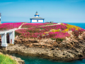 La isla gallega que se viste de púrpura cada primavera