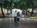 Una pareja camina bajo la lluvia