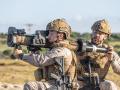 Infantes de marina del ´Tercio Armada´ ponen a prueba su puntería en el ejercicio Flotex 26