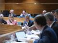 Mata Barrachina en la FEMP - Comisión Diputaciones, Cabildos, Consells Insulars