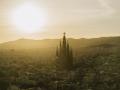 Vista aérea de la Sagrada Familia