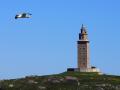 Galicia vive la primavera más seca desde 1990: solo 160 litros de lluvia y un 46% menos de lo habitual

Álvaro Ballesteros / Europa Press
CIUDAD DE A CORUÑA -TORRE DE HÉRCULES
05/4/2022