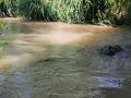 Río Huerva a su paso por Zaragoza