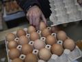 Huevos