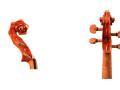 Ímagen de la voluta o cabeza del violín de Gaudí