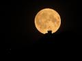 La luna llena de junio, conocida como la «Luna de Fresa», se observa sobre los montes Tatra polacos, cerca de Zakopane (sur de Polonia), en la madrugada del 30 de junio de 2026.