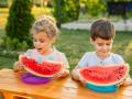 Healthy Summer Snack for Kids – Watermelon Joy