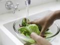 Limpieza con agua de una lechuga
