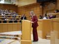 La portavoz del PP en el Senado, Alicia García, interviene durante una sesión plenaria en el Senado