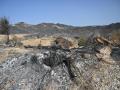 TURRE (ALMERÍA) 11/07/2026.- Restos calcinados del incendio de los Gallardos en Almería. La superficie afectada por el incendio forestal originado en Los Gallardos (Almería), con doce fallecidos, se ha elevado a 6.600 hectáreas por los avances registrados durante la pasada jornada, que obligaron a ampliar el perímetro ante la presencia de focos y frentes muy activos. EFE/Carlos Barba