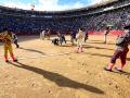 Imagen tomada en la Plaza de Toros de Valencia