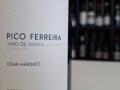 Pico Ferreira, vino berciano que se ha situado como uno de los mejores de España