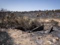 Terreno quemado por el incendio forestal en Madrid