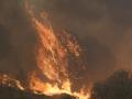 Las gigantescas llamas engullen la vegetación en el incendio de Burgohondo