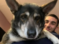 Ferran Torres y uno de sus perros