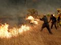 Los vecinos ayudan a los bomberos a combatir un incendio forestal en la zona de Cebreros, cerca de Ávila, a 80 km al oeste de Madrid, el 24 de julio de 2026.
España declaró el estado de emergencia nacional en la Comunidad de Madrid y en la provincia de Ávila, cerca de la capital, el 23 de julio de 2026, a raíz de varios incendios forestales que ardían sin control. Los científicos llevan mucho tiempo advirtiendo de que el cambio climático provocado por el uso humano de combustibles fósiles hará que los periodos de sequía sean más intensos y prolongados, creando las condiciones ideales para los incendios forestales.