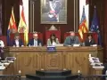 Pleno del Ayuntamiento de Elche