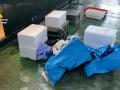 La Guardia Civil ha intervenido un total de 181 kilos de pescado y marisco de origen ilegal en el puerto de Bueu (Pontevedra) en dos actuaciones desarrolladas este mes dentro del dispositivo de vigilancia contra la pesca y el marisqueo furtivos en Galicia.

La actuación de mayor envergadura tuvo lugar el pasado 20 de julio, cuando agentes del Servicio de Protección de la Naturaleza (Seprona) interceptaron una furgoneta isotérmica en la zona de embarque hacia las Islas Ons. El conductor, un vecino de Vigo de 35 años, transportaba cajas de porexpán con pescado que carecía del etiquetado obligatorio y de la documentación necesaria para acreditar su procedencia legal.

Según ha informado la Guardia Civil, buena parte del producto se encontraba almacenado en bolsas de plástico convencionales, sin cumplir las condiciones higiénico-sanitarias exigidas para este tipo de mercancías.

Tras su inspección, los agentes inmovilizaron el cargamento en las cámaras frigoríficas de la lonja de Bueu. El decomiso ascendió a 105 kilos de pez gallo, 35 kilos de rape, 13 kilos de besugo y 12 kilos de langosta, un total de 165 kilos de pescado y marisco.

Los hechos fueron puestos en conocimiento del Servizo de Control de Riscos Ambientais de la Xunta y se tramitó la correspondiente denuncia ante la Consellería do Mar por presuntas infracciones de la normativa pesquera.

Centollas en veda

La segunda intervención se produjo el pasado 6 de julio, también en el puerto de Bueu. En esta ocasión, los agentes sorprendieron al marinero de una embarcación de pequeño calado descargando varias bolsas directamente en un vehículo con destino a un restaurante de la zona.

Al revisar la mercancía encontraron dos bogavantes, nécoras y 12 kilos de centollas, una especie que se encuentra actualmente en periodo de veda, además de detectar varios ejemplares ovados, cuya captura está expresamente prohibida.

En total, fueron intervenidos 16 kilos de marisco, por lo que el responsable, un vecino de Bueu de 51 años, fue denunciado por comercializar capturas prohibidas y por eludir los canales legales de venta a través de la lonja.

Las dos actuaciones se enmarcan en la campaña de control que desarrolla el Seprona para combatir la pesca y el marisqueo ilegal en la provincia de Pontevedra, con el objetivo de garantizar la trazabilidad de los productos del mar, proteger los recursos pesqueros y velar por el cumplimiento de la normativa sanitaria y medioambiental.