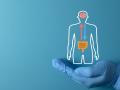 Doctor's hand holding a Gut-Brain Axis icon, symbolizing the link between the digestive system and the brain. Medical research, microbiome, and mental health concept.Blue background, copy space.