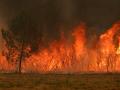 Zona boscosa envuelta en llamas en Marcheprime, al oeste de Burdeos