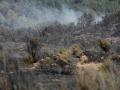 Terreno quemado por el incendio forestal, a 29 de julio de 2026, en La Utrera, León